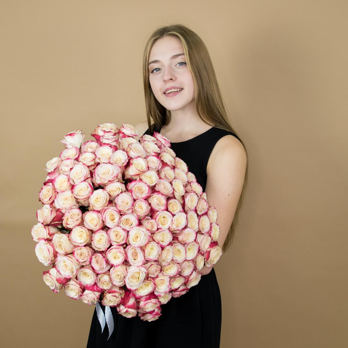 Розы красно-белые 101 шт. (40 см) артикул: 11748tver