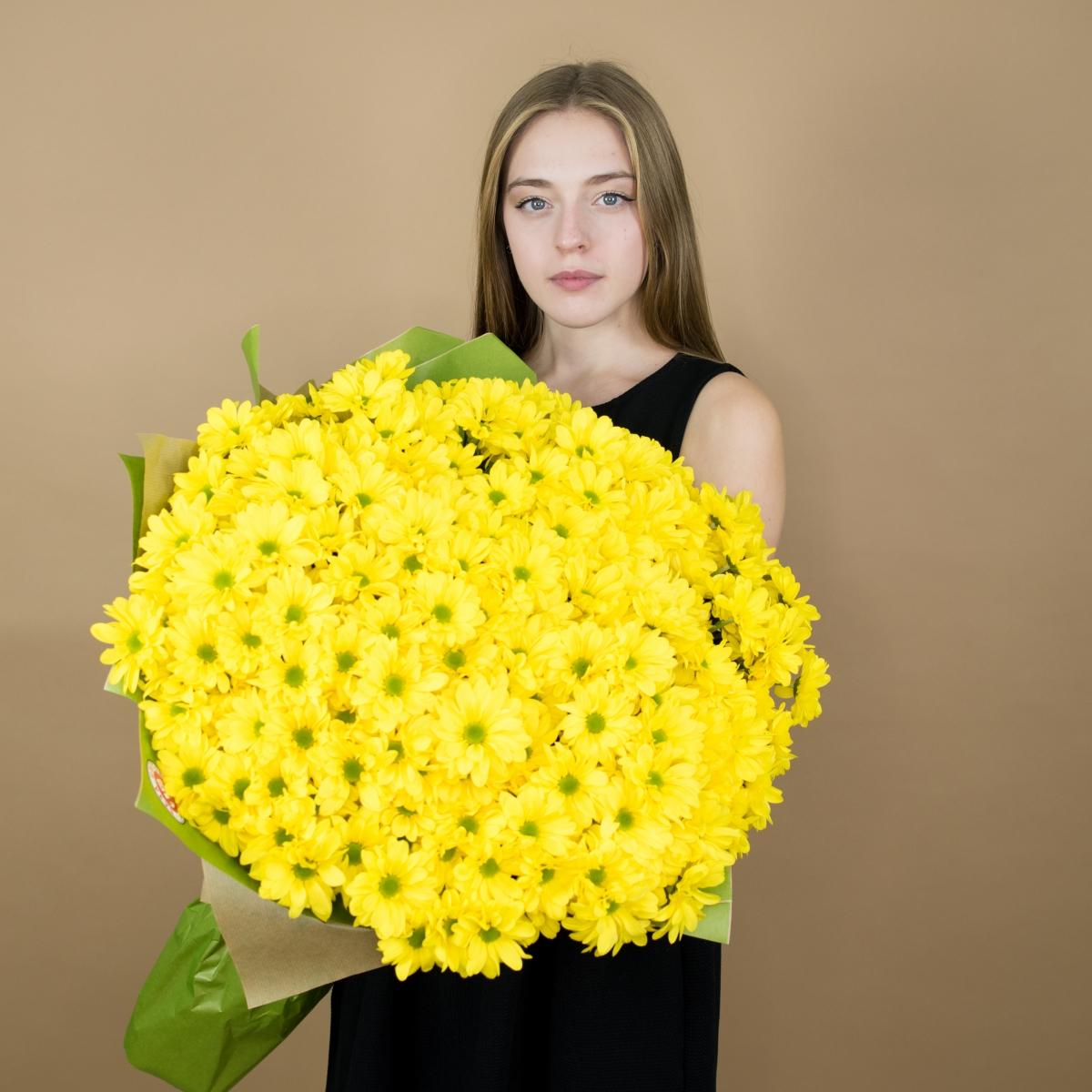 Хризантема кустовая желтая (код товара - 12166tv)