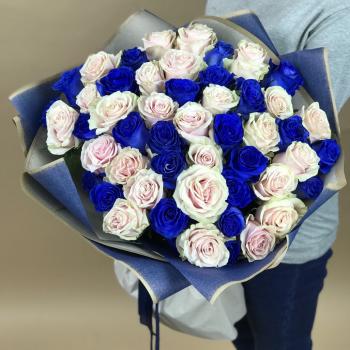 Белая и Синяя Роза 51шт 70см (Эквадор) №  15092tver