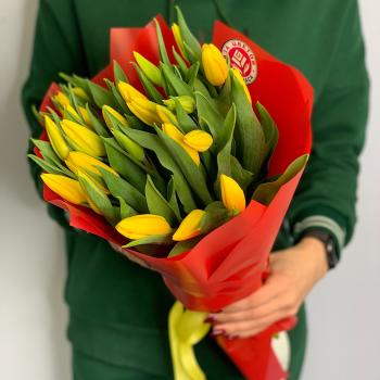 Тюльпаны желтые 25 шт № - 18612tv